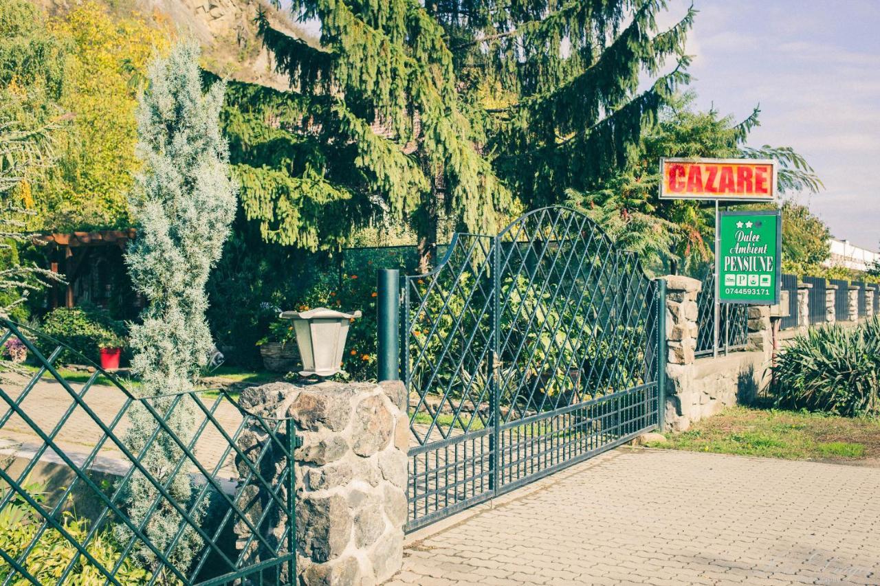 Pensiunea Dulce Ambient Paulis Exterior foto